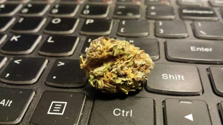 EmeraldTwist's tweet image. CONTROL-ALT-WEED was just the reset I needed!  #paperworkparty #420