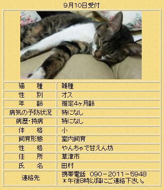 滋賀県動物保護管理センター掲示板 Twitter Search