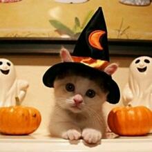 Happy Halloween
Ｔｒｉｃｋ or ｔｒｅａｔ