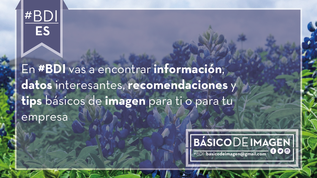 BASICODEIMAGEN's tweet photo. Y tú, ¿Ya sabes qué es Básico de Imagen? #BDI https://t.co/QNTiw7jGbU