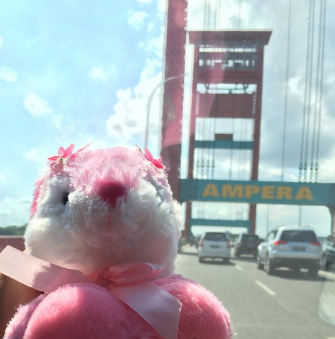 siolive_16's tweet photo. ka Olive S.Pd @siolive_ #siolive_ at jembatan ampera-palembang https://t.co/krpGh1zJKI