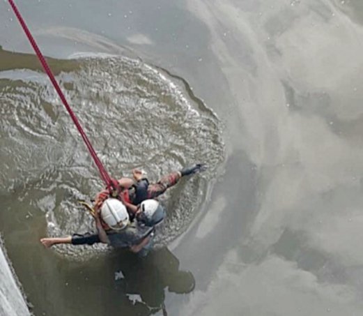 Embedded image permalink