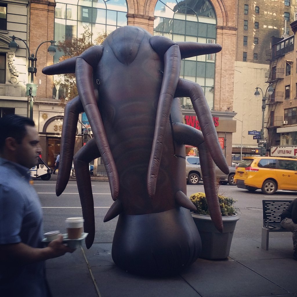 thewormkeeper tweet picture