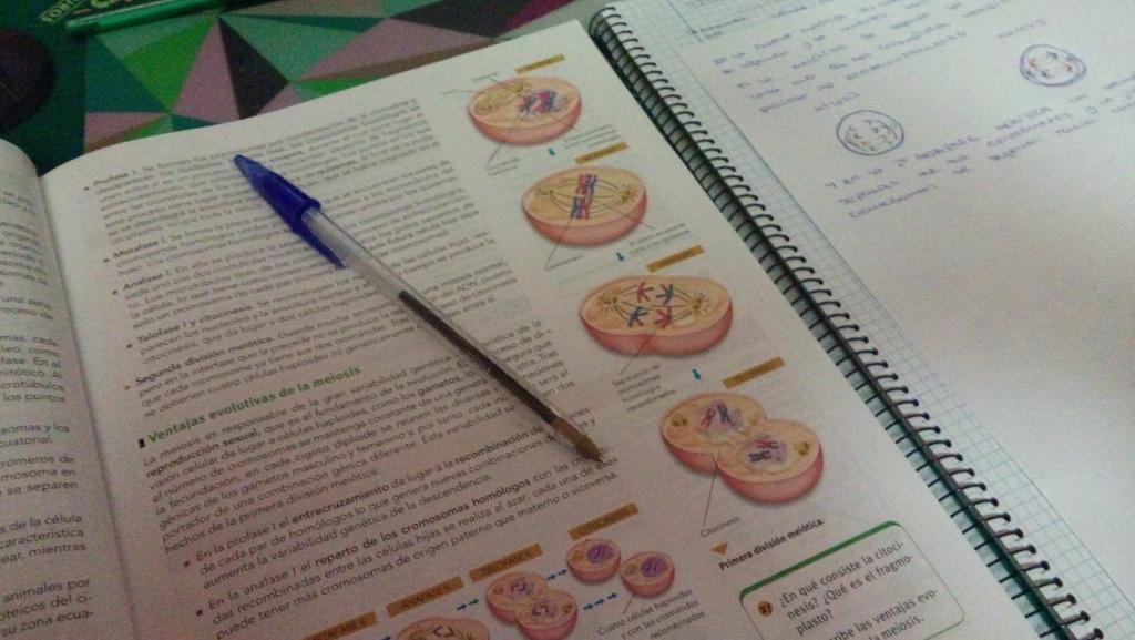 SaraGym's tweet photo. BUENOS DÍAS 😢🔫📚 https://t.co/pzW0OYBpzp