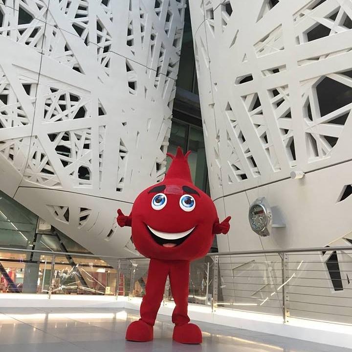 TurkeyExpo2015's tweet photo. "Pomegranate which is the symbol of #Turkey #EXPO2015 was at #Italianpavilion #ExpoMilano2015 https://t.co/LBJGRDaSFO
