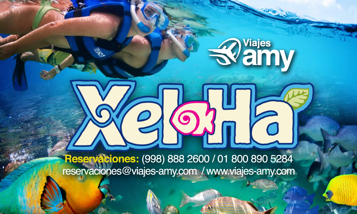 Viajes Amy tweet media