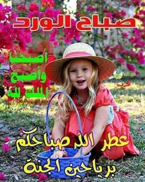 al_haidarea's tweet photo. أسعد الله صباحكم بكل خير.. https://t.co/n27Chw9TQ5