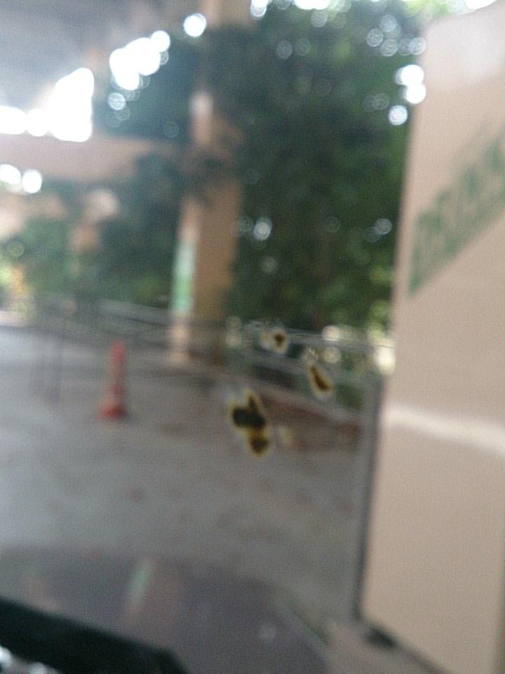 Reina Akanpanion Twitter