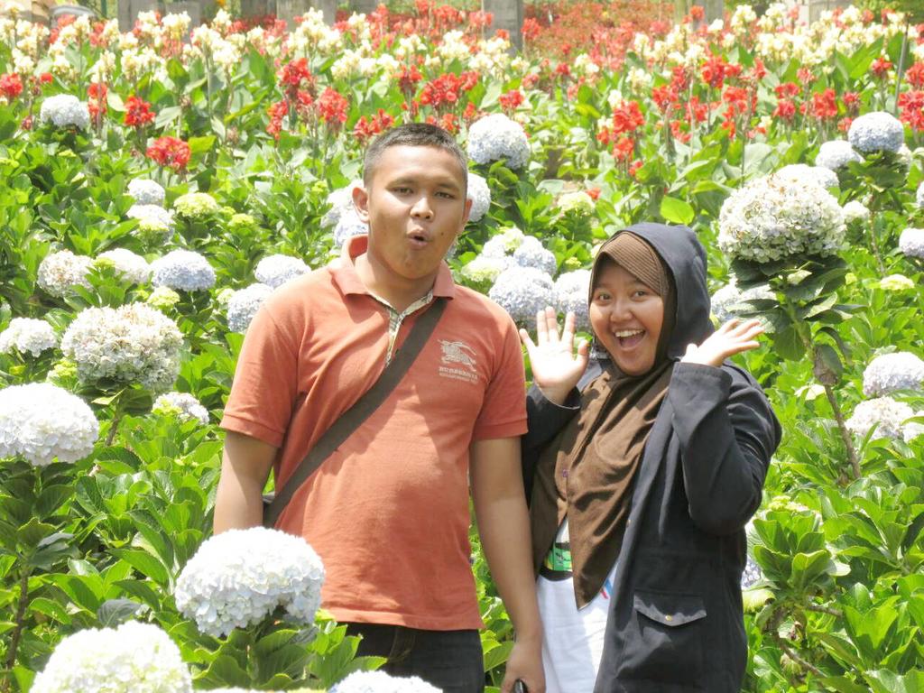 dmutias's tweet photo. Bunga-bunga di taman. Ahay😅🌼🌼 https://t.co/PGIqUgx2LU