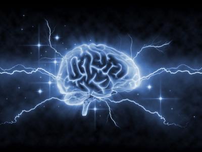 EquipodelaTorre's tweet image. El ejercicio aeróbico protege al cerebro infosalus.com/salud-investig… vía @infosalus_com