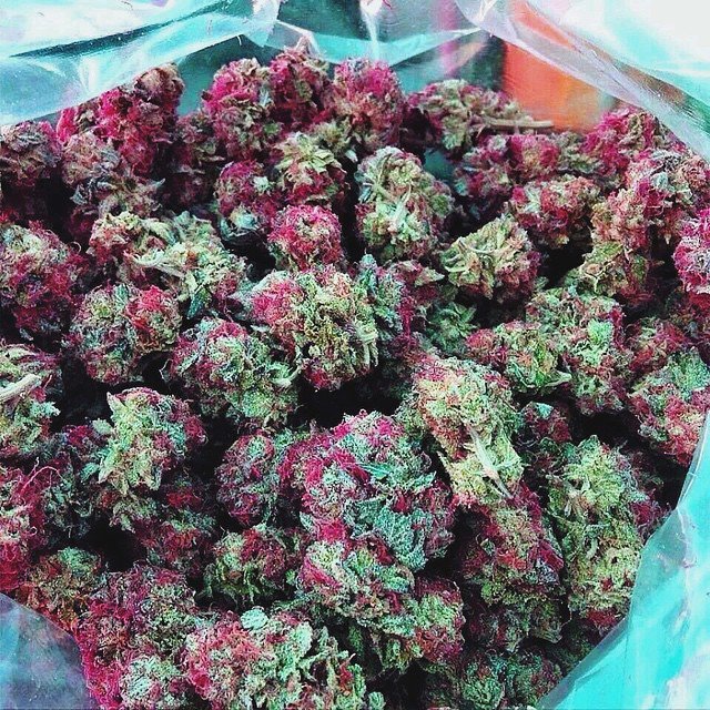 ConnecticutHemp's tweet photo. Did you know the potency of marijuana has been increasing steadily since. 2001? #HempLife https://t.co/zDuYoGXgJ0