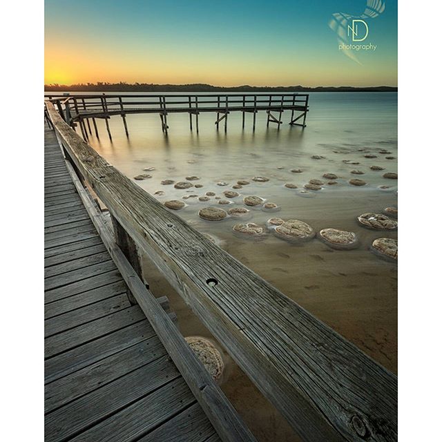DestPERTH's tweet photo. You can view these #thrombolites on the edge of #LakeClifton @VisitPeel Pic @_noeld IG #SeePerth #AnytimeAdventures https://t.co/ZQ3o8XSgkJ