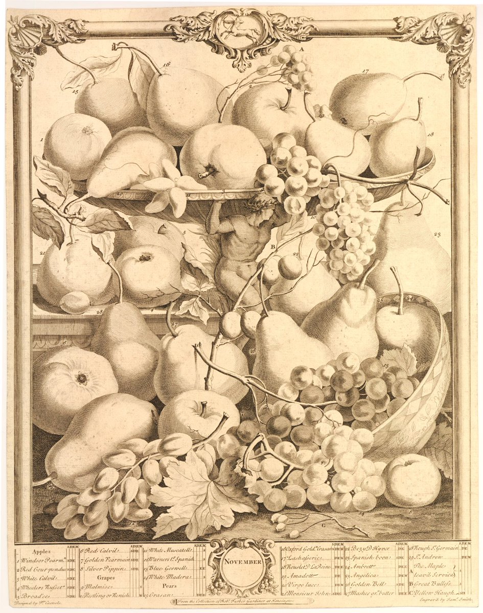 britishmuseum's tweet photo. #November, represented here by fruit, was the 9th month of the Roman calendar! https://t.co/DmiNY3tEWX https://t.co/a1zh6E1b3y