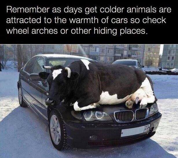 TastingNotes22's tweet photo. Here's our @Farm_Innovation joke for today:

#funny #foodie #FoodieFriday #farming
@KateMiddletonWK  @RuralLawrence https://t.co/RFOxYPKdEV