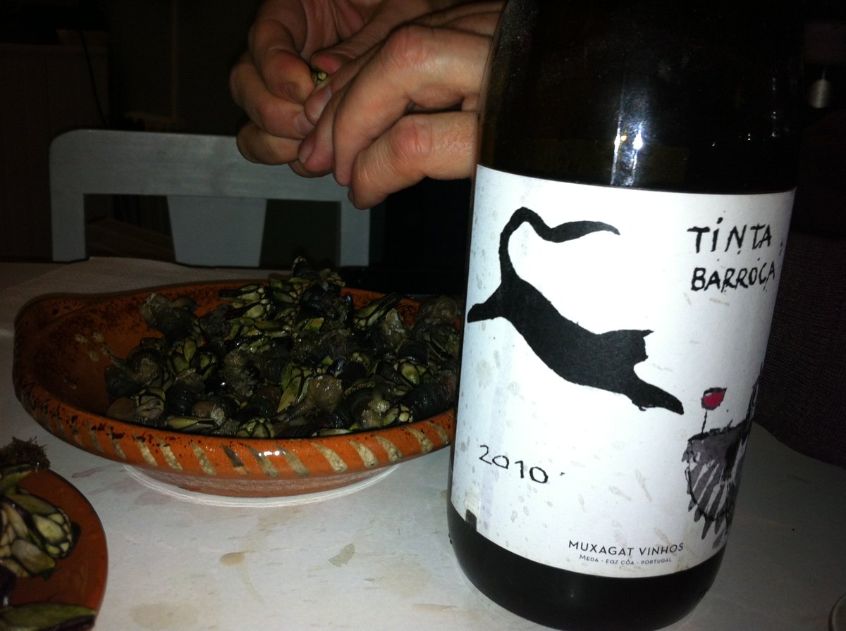 XistoWines's tweet photo. Here's a cat for #NationalCatDay with an #owl #Muxagat #PortugueseWine #Winelover #DouroLover https://t.co/oTDS3PDfHI
