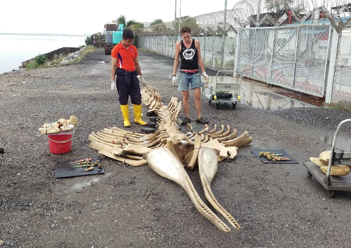 Embedded image permalink