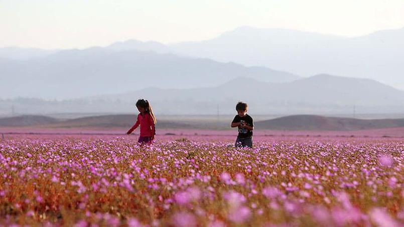 Le Figaro tweet media