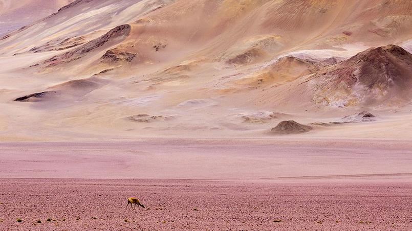 Le Figaro tweet media