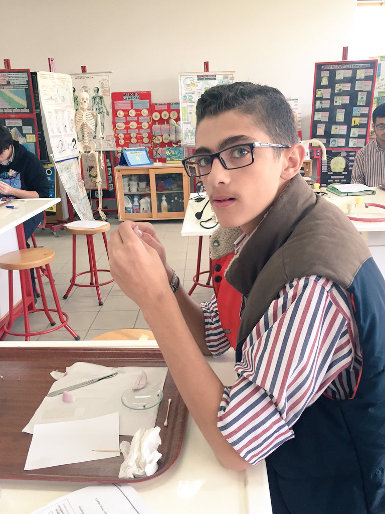 RoweidaB's tweet image. Tracking Plasmolysis in plant cells #CellModel @Hhhsinfo