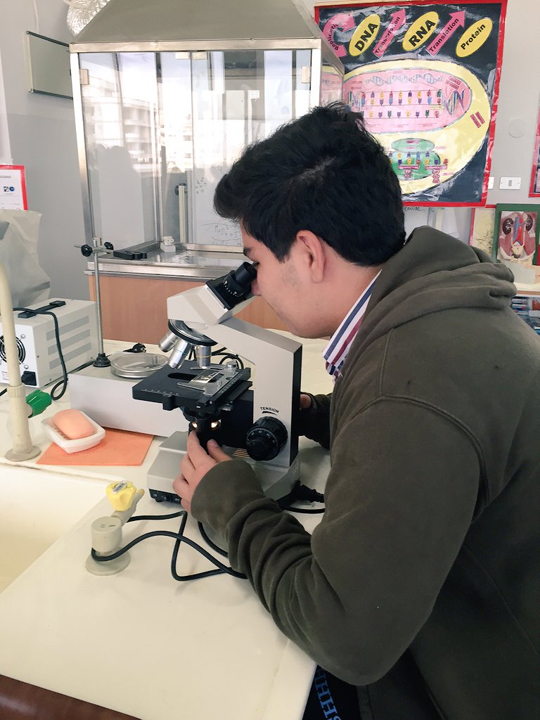 RoweidaB's tweet image. Tracking Plasmolysis in plant cells #CellModel @Hhhsinfo