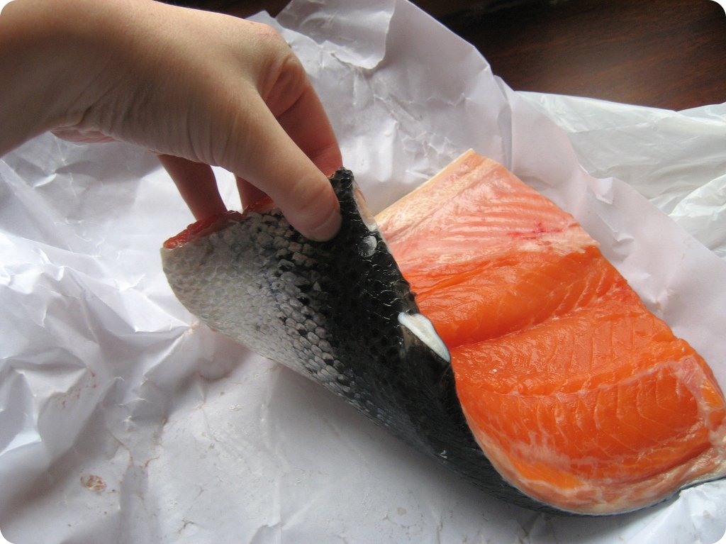 grist's tweet photo. The wild salmon on your plate actually goes to bed at 9 p.m., is probably farmed https://t.co/k5oLJvGr1p https://t.co/o2mC7VoW8N
