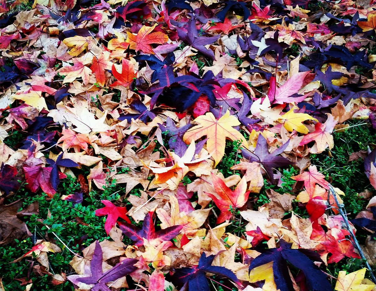 Dit Twitter account stopt ermee :-( Niet getreurd! Je kunt mij blijven volgen op @daisyscholte
#reisblog #foodie