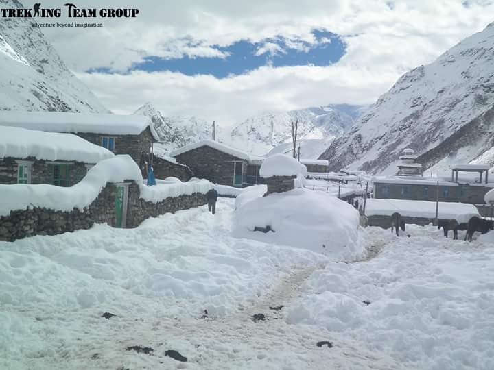 trekteamgroup's tweet photo. Spectacular view during Manaslu Trek!!! #Manaslu #EightThousander #8163m #TrekkingInNepal #TrekkingTeamGroup #Nepal https://t.co/xdsMFsG3UR