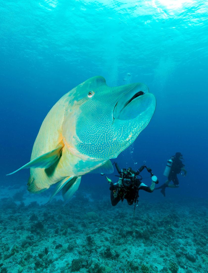 Le Parisien | Ma Terre tweet media