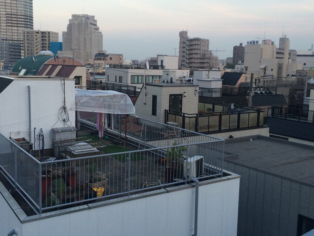 大根仁 東京ロケ候補メモシリーズ スカイツリーはどうでもいいけど 柵が無くて周りの抜けが良い向島のマンション屋上 屋上シーンの客観も撮りやすそう ドラマど根性ガエル この辺が舞台だったかな T Co Aylcvp5etu Twitter