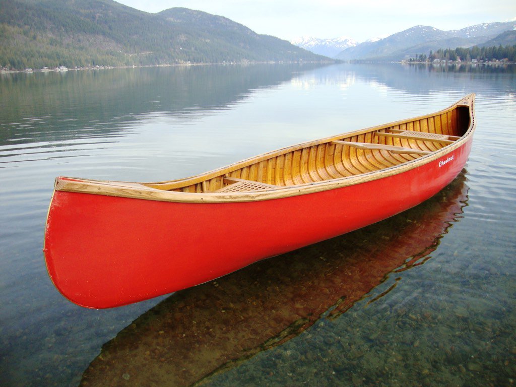 float_through tweet picture