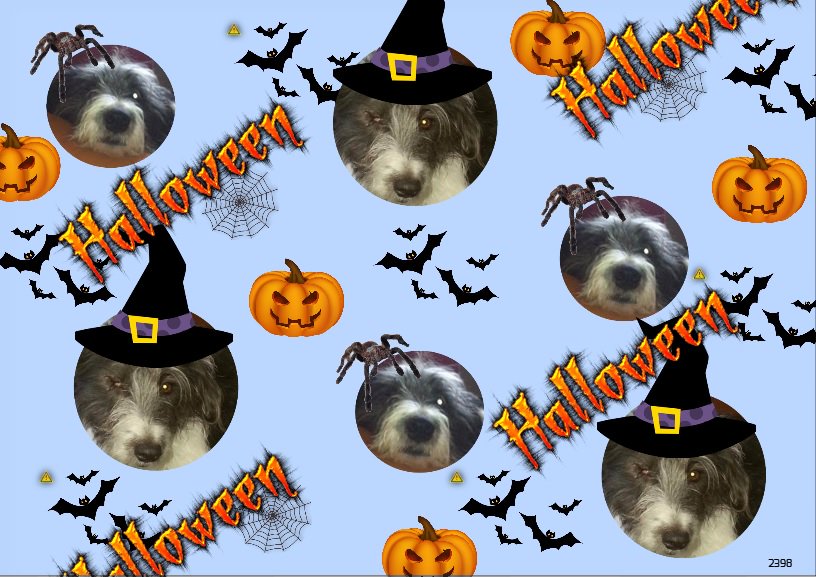 WickedGifts's tweet photo. Happy Halloween everybody!

#MakeTheWrapPartOfThePresent
https://t.co/a1sKWqEOgK https://t.co/9pcn6mI5xn