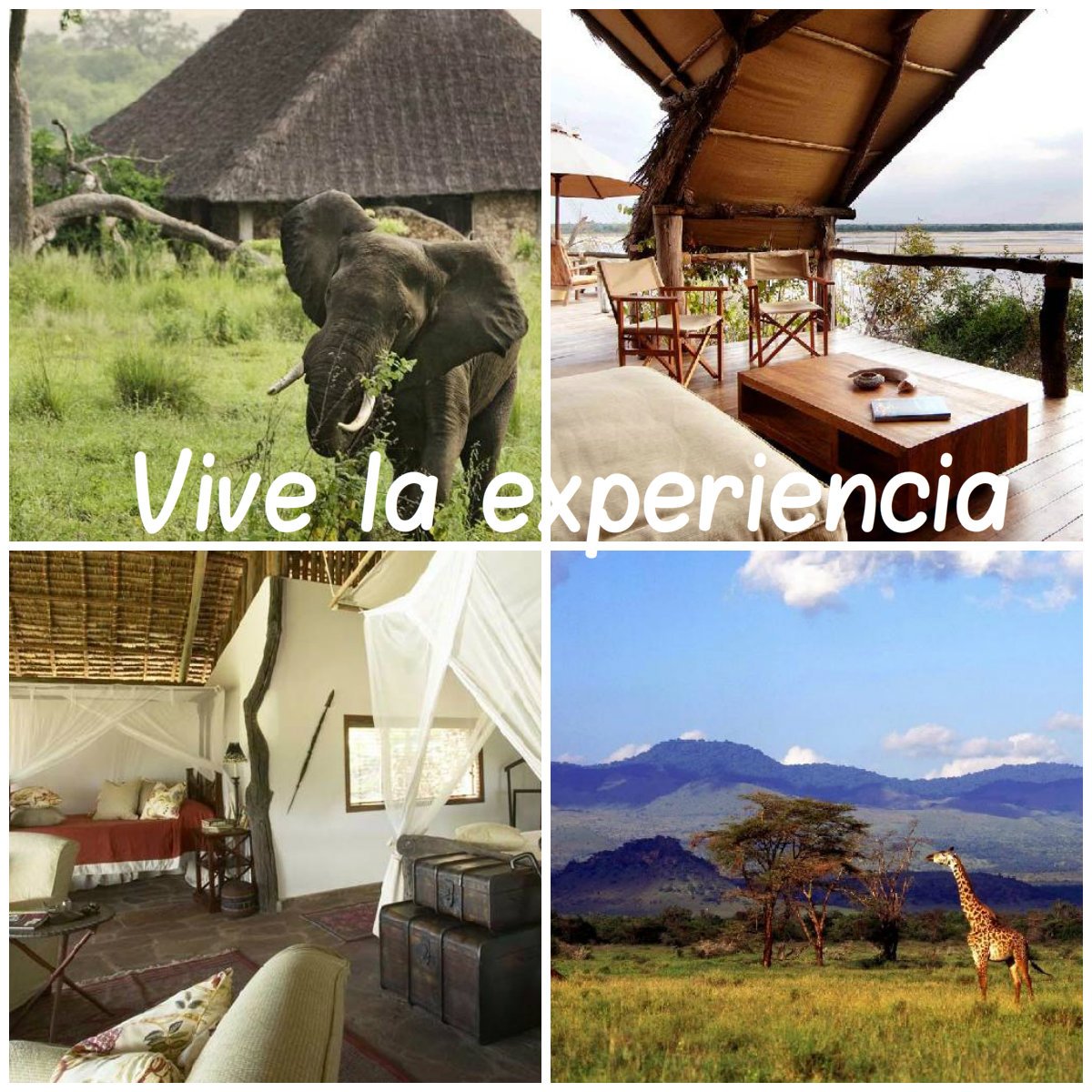 Que no te lo cuenten, siéntelo en tu propia piel ow.ly/TTx0A #viajar #travel #experiencia