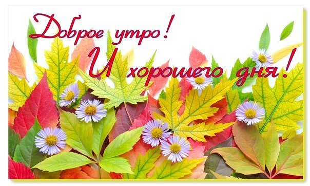 ylasha (@ylasha5) on Twitter photo 