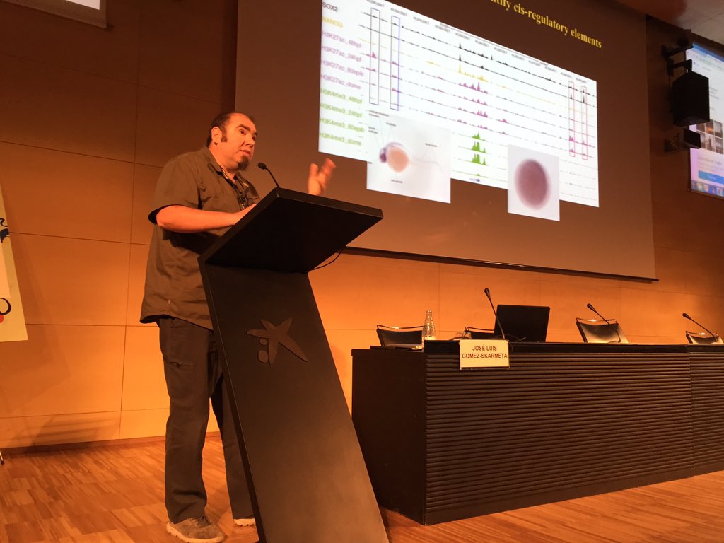 ludicroce's tweet photo. The 2nd day started with Gomez-Skarmeta connecting evolution and Epigenetics !!! #BCEC2015 https://t.co/tT20VLMJD7