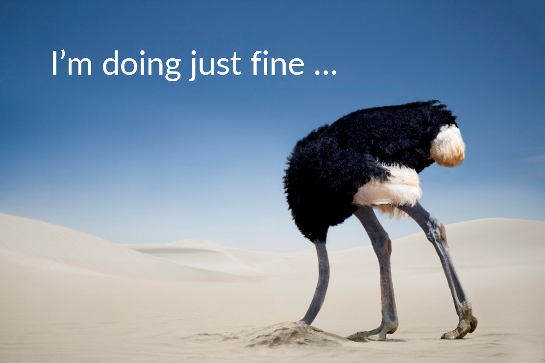 Benjamin tweet media