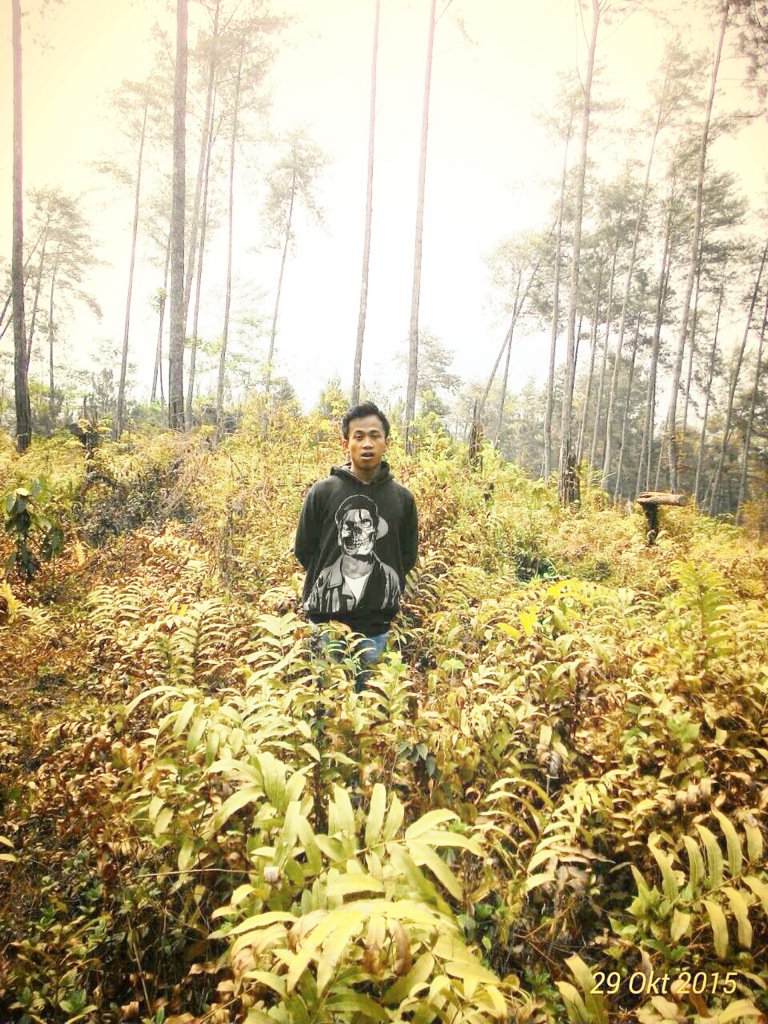 acilriyanto's tweet photo. https://t.co/oeb98C3k05