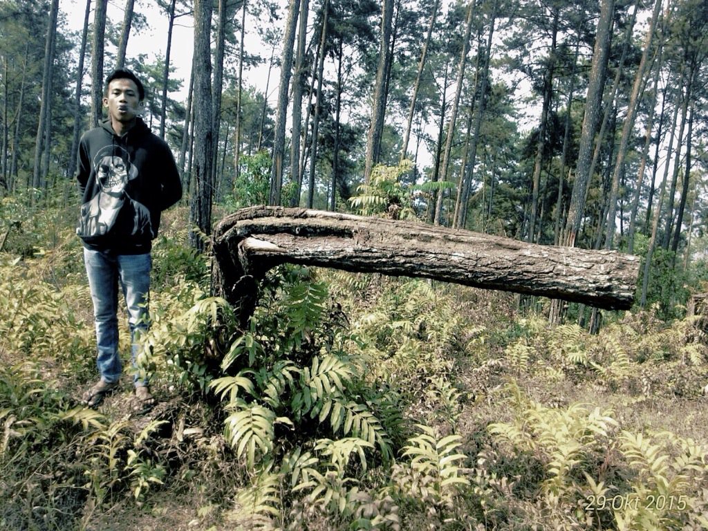 acilriyanto's tweet photo. https://t.co/77jVOMMG2m
