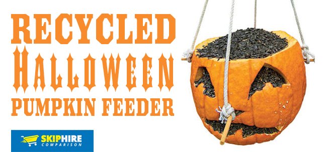 SkipHireCompare's tweet photo. What a great idea! - #Recycle your #Halloween #Pumpkins Nature Feeders https://t.co/KTTSYF2H38 @BBCSpringwatch https://t.co/AIKwGBrVk9