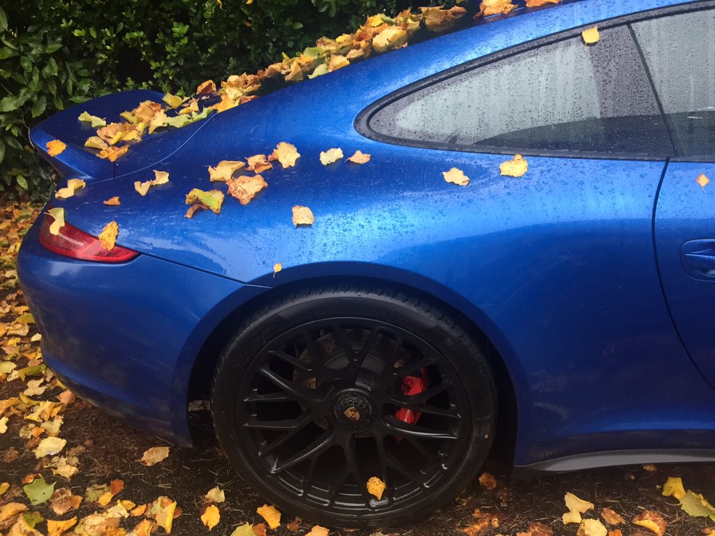 harrismonkey's tweet photo. Autumnal pork https://t.co/U7KBMZryv2