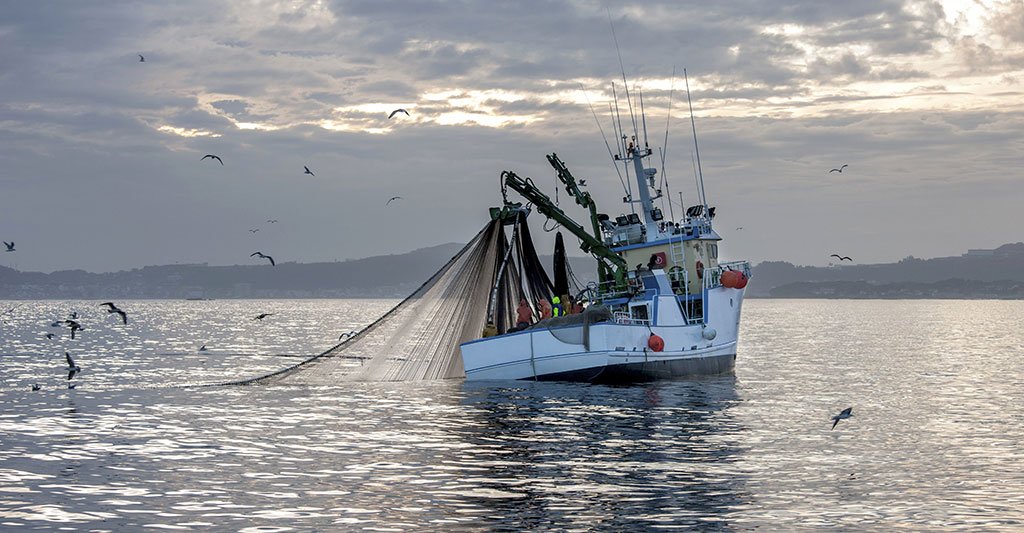 RestCullerdepau tweet media