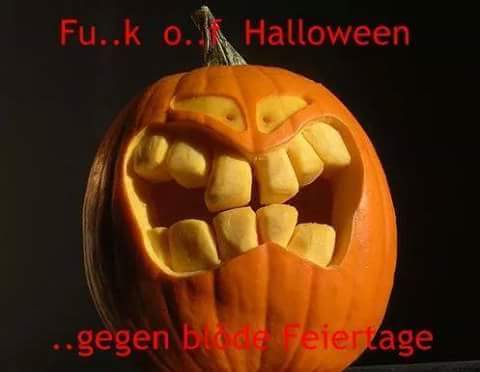 Findi282's tweet image. 