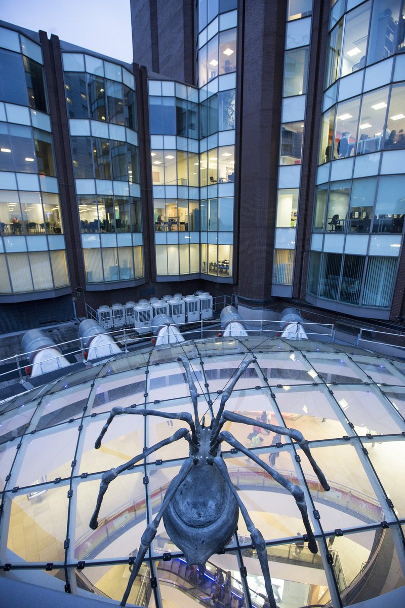 WHOA! What the ***** is that thing on our roof!!