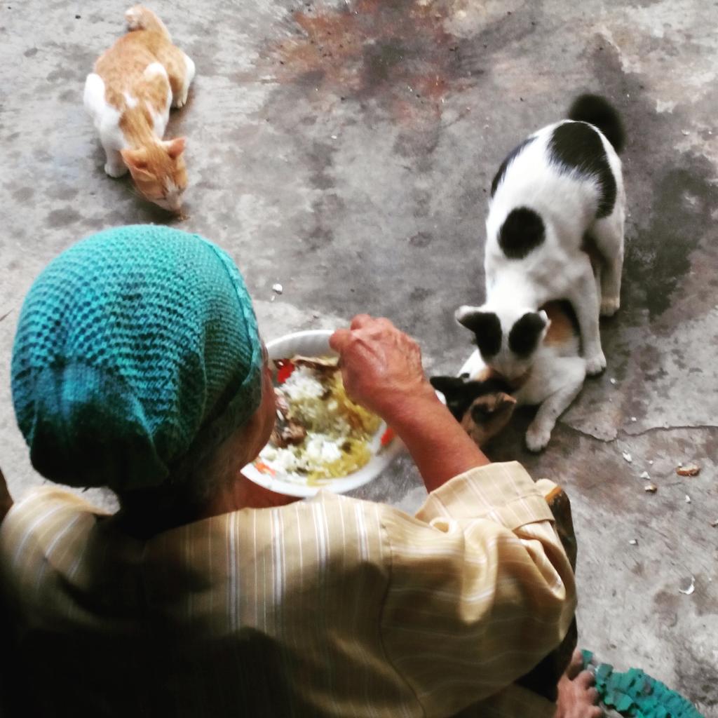 Info Wuluhan (@infowuluhan) on Twitter photo 