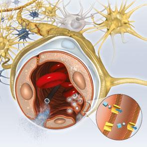 abc_es's tweet photo. Así retrasa el ejercicio el envejecimiento del cerebro https://t.co/wSq4fKARAS https://t.co/vlDbHiDmID