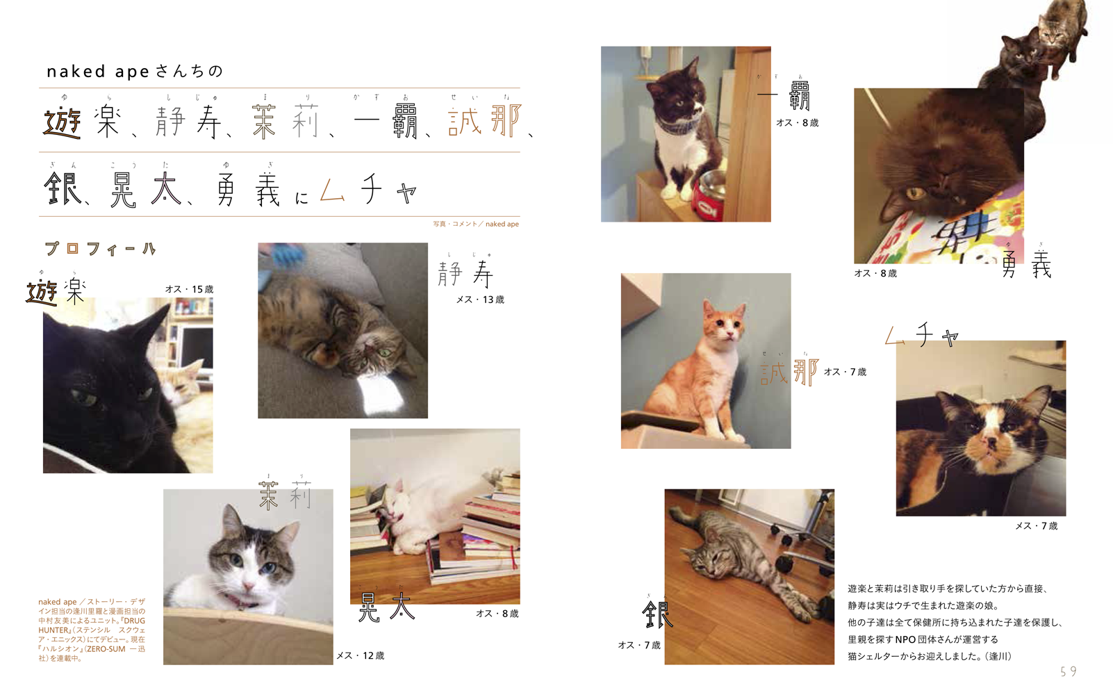 ゼロサム編集部 漫画家さんが自ら撮影された猫写真集 漫画家の猫 が明日発売 ハルシオン を連載中のnaked Ape先生 魔界王子 を連載中の雪広うたこ先生の愛猫も カットや１コマ漫画も掲載されています T Co Pellgi9ydx Twitter