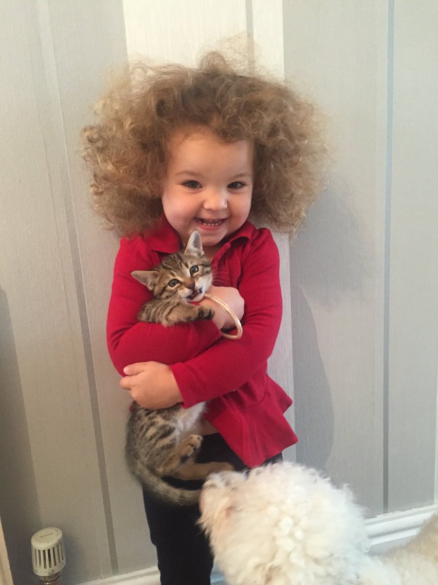 We ♥️ Fridays as much as this little girl loves her cat. 😻