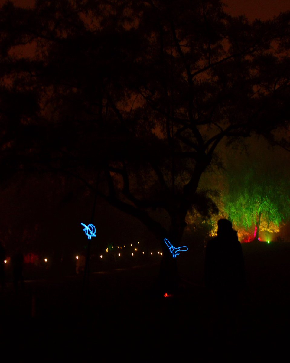 bellevuestudio's tweet photo. birds, Illuminati Botanica, @IlluminateYork #IY2015 Museum Gardens #York https://t.co/6NEDVcBhAm