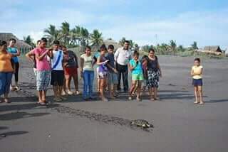 CONAP_COSTASUR's tweet photo. @CONAPgt liberacion de tortuga carey en parque nacional sipacate naranjo escuintla fue la cual fue varada https://t.co/CwgUhwGP65