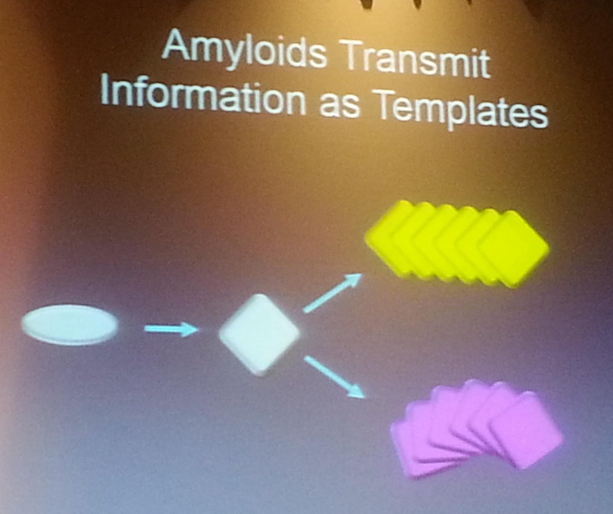 griz1's tweet photo. #DrMarcDiamond talks about protein aggregation fundamentals @ACRMtweets #PIRR2015 #tau #dementia https://t.co/5nbzAj5Fr9