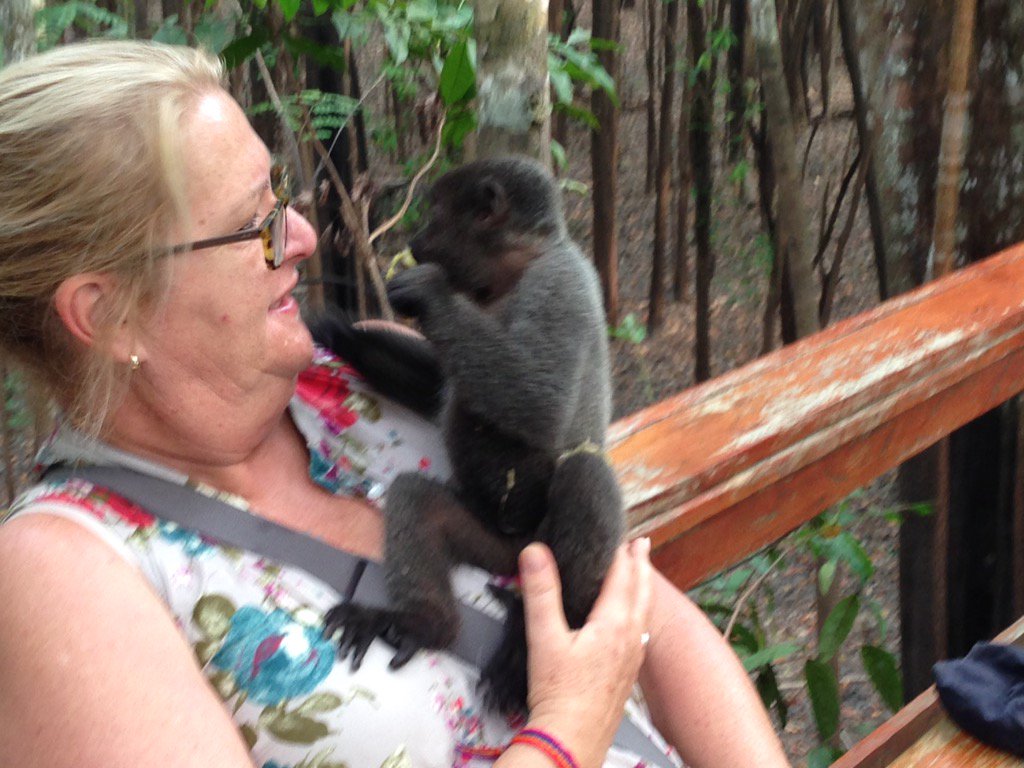 Jumalodge Hashtag On Twitter